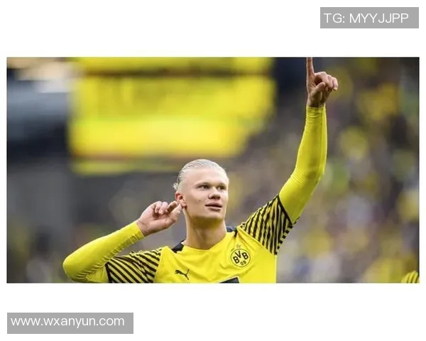 足球明星签字费的含义及其对转会市场的影响分析 足球明星签字费的含义及其对转会市场的影响分析