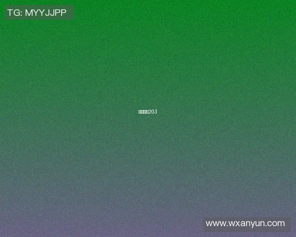 篮球明星203 篮球明星203